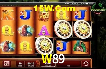 Integração de APIs W89